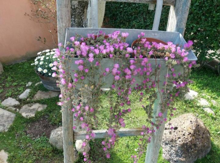 B&B Casa Piras Iun3880 Barùmini Zewnętrze zdjęcie