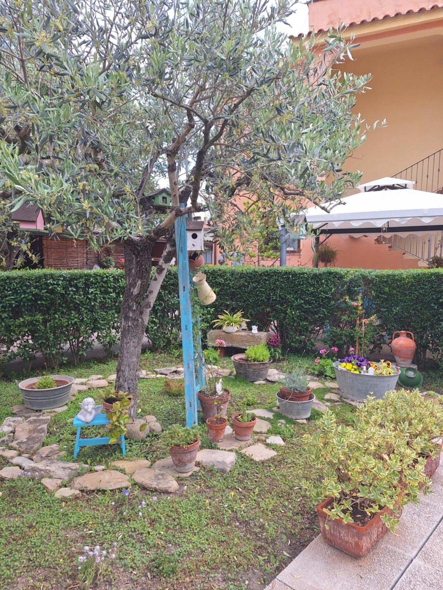 B&B Casa Piras Iun3880 Barùmini Zewnętrze zdjęcie